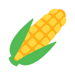 Corn