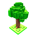 Oak